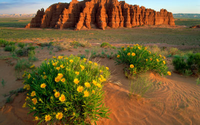 Wildlands Of Utah