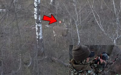 Big Buck Falls to Female Bowhunter After a Perfect Long Shot