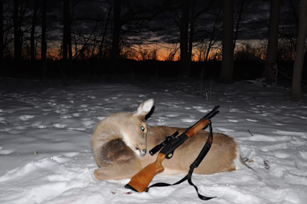Michigan Late Doe Season, Key Dates and Regulations to Know Outdoor