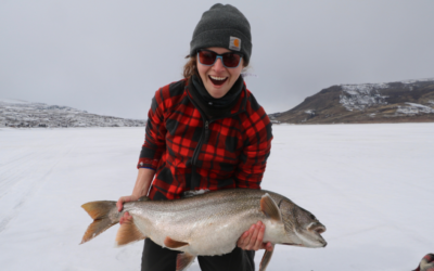 Winter Fishing in Colorado: The Best Opportunities Around the State