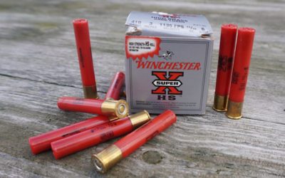 .410 Ammo: Our Top 7 Picks for Hunting Loads