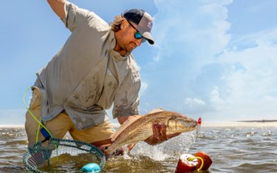 Florida Fishing Licenses: A Breakdown of What You’ll Need