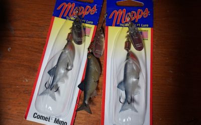 Mepps Spinners: The 5 You Need in Your Tackle Bag This Year