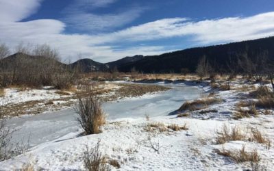 What to Do When Your Waterfowl Spot Freezes Over