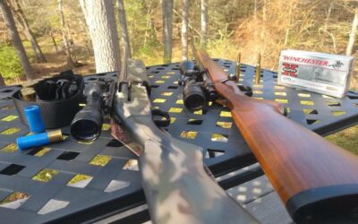 12-Gauge Slugs vs .270 Winchester: Which Ammo Stops Deer faster?