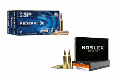 22-250 Remington Ammo: Speedy Options From the Factory