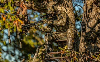 5 Signs to Look for When Choosing a Treestand Location