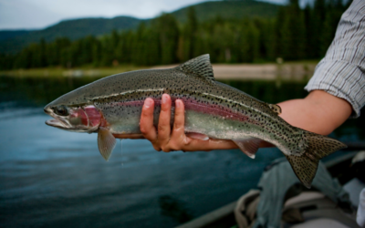 Colorado’s Record Fish Make Most Anglers Into Small-Fry