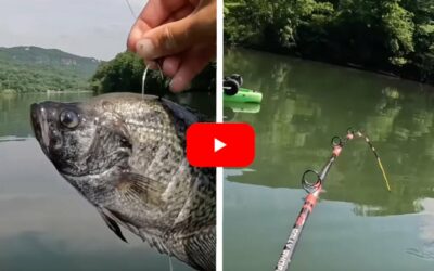 Dead Crappie Catches Giant Fish For Kayak Angler