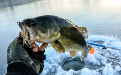 Jason Mitchell Talks Ice Fishing for Largemouth