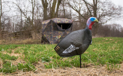 4 Classic Decoy Spreads to Use this Turkey Season