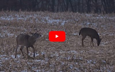 Father Unselfishly Gives Up Chance at Season Target Iowa Buck to His Daughter