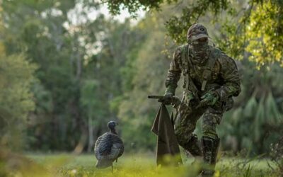 How to Execute the Run-and-Gun Turkey Method