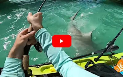 Kayak Angler Nearly Gets Swamped By Shark Lunging At His Catch