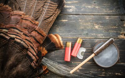 Mouth Call, Box and Slate: Which Turkey Hunting Scenario Calls for Each One?