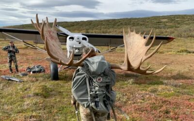 Woman Shoots Monster Alaskan Bull Moose 300 Yards Offhand