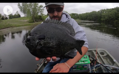 Angler Hooks Chunky Monster Hybrid Panfish In Small Farm Pond