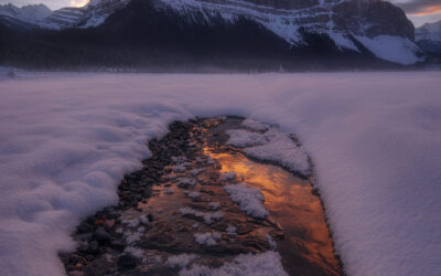 Extreme Angles Assignment Winner Max Foster