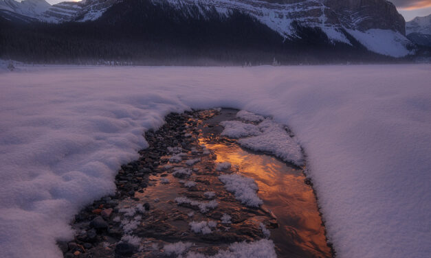 Extreme Angles Assignment Winner Max Foster