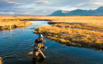 Fly Fishing 101: The Essential Gear Every Beginner Needs