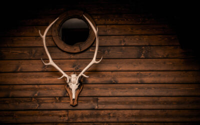 The Record-Shattering, 200-Inch Buck Shot That Sat Forgotten for Decades